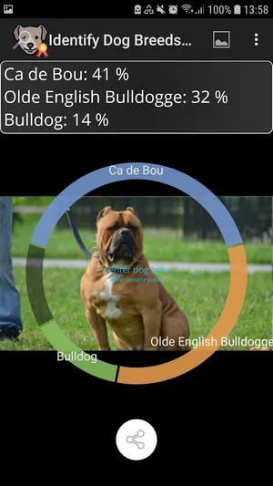 Identify Dog Breeds Pro